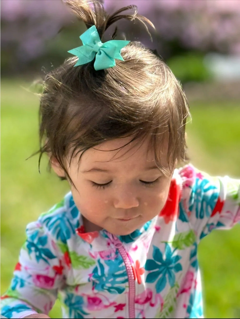 Tommy Bahama